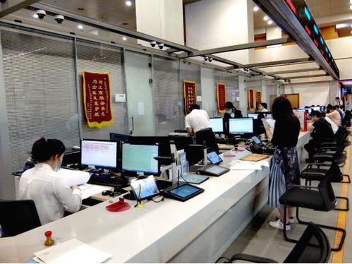 科技賦能，服務百姓——北京順義區創新技術服務模式探秘